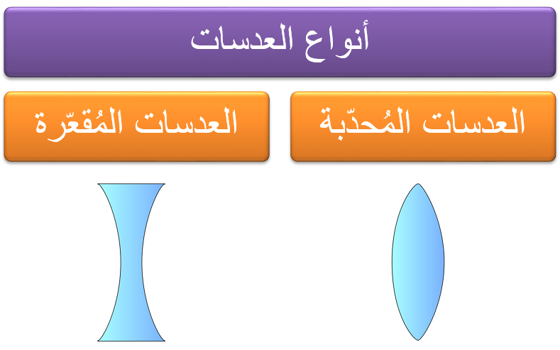 أنواع العدسات